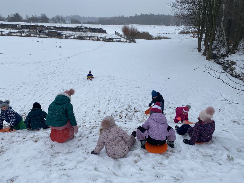 Beruškové sněhohrátky